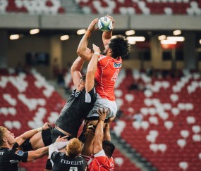 开云体育直播-开拓者掀翻篮网，塔图姆成为关键先生