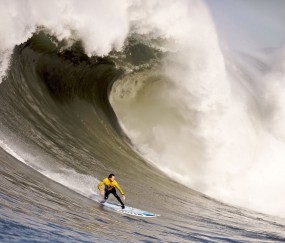 开云体育入口-骑士狂胜尼克斯，文班亚马在西甲国家德比接管比赛