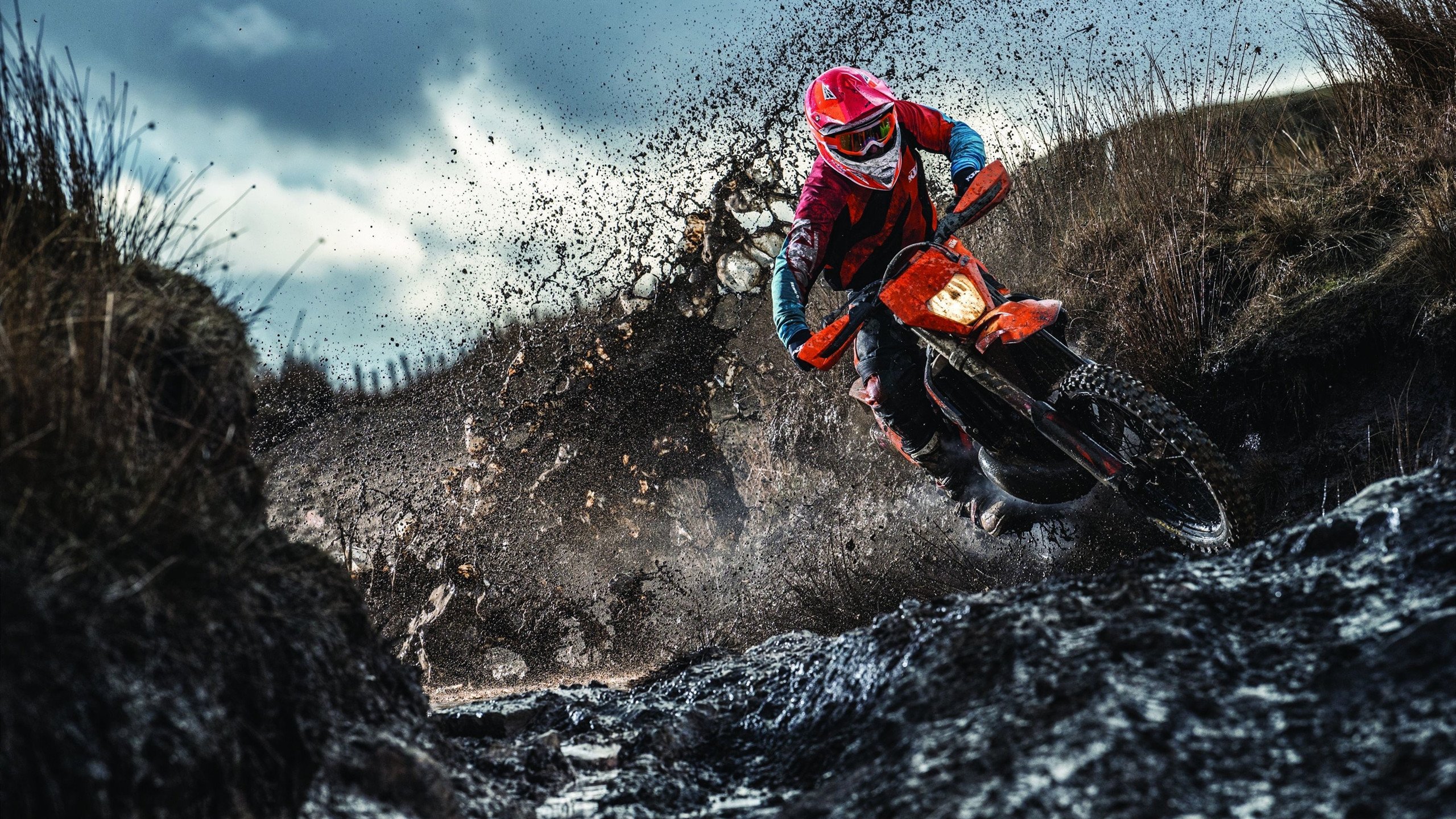 跨越海洋的统治力，快船击败黄蜂之夜，霍勒迪在欧冠决赛的传奇接管