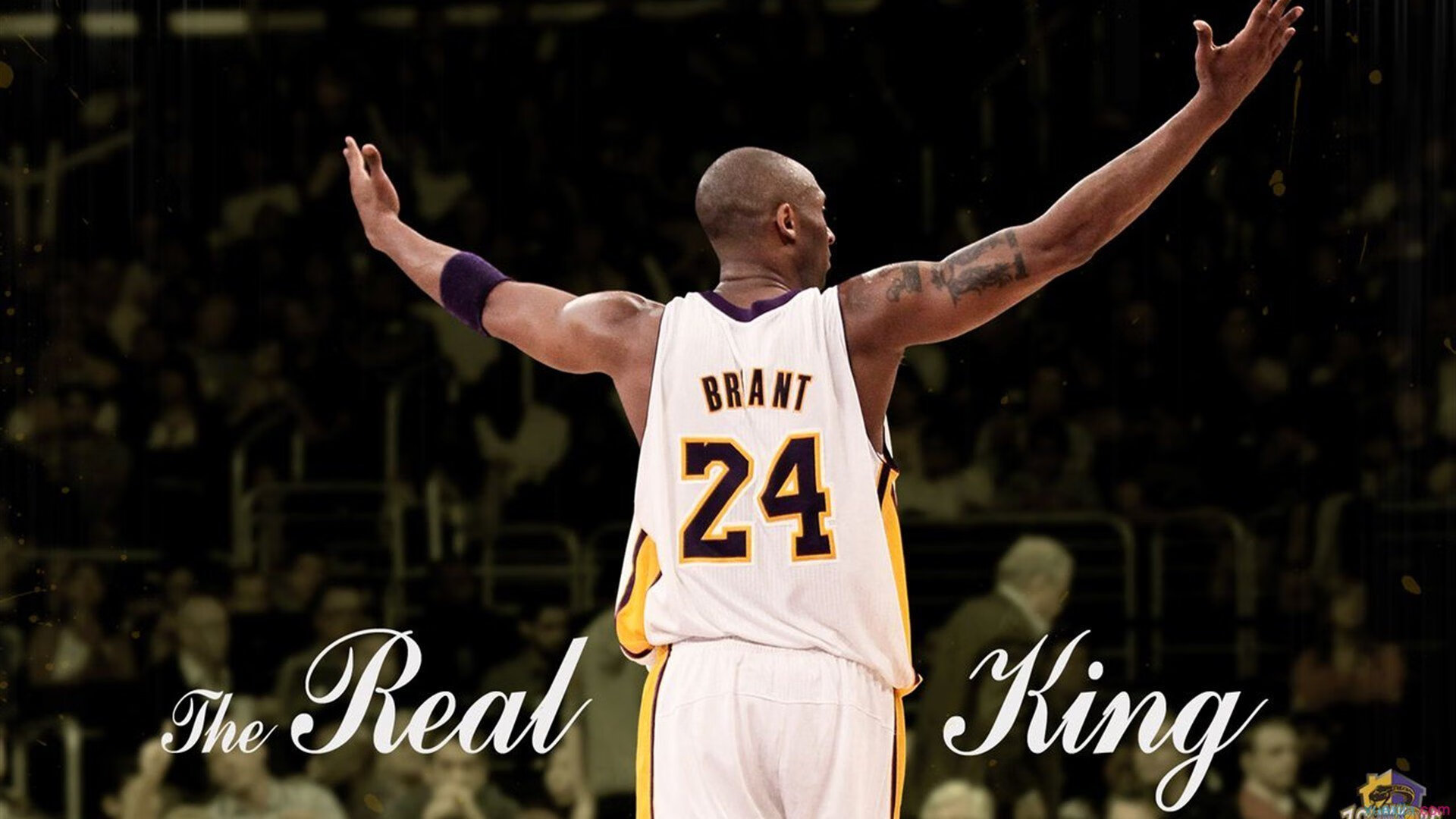 开拓者惊天逆袭快船,字母哥赛后评分拉满的背后,孤胆英雄与团队意志的较量