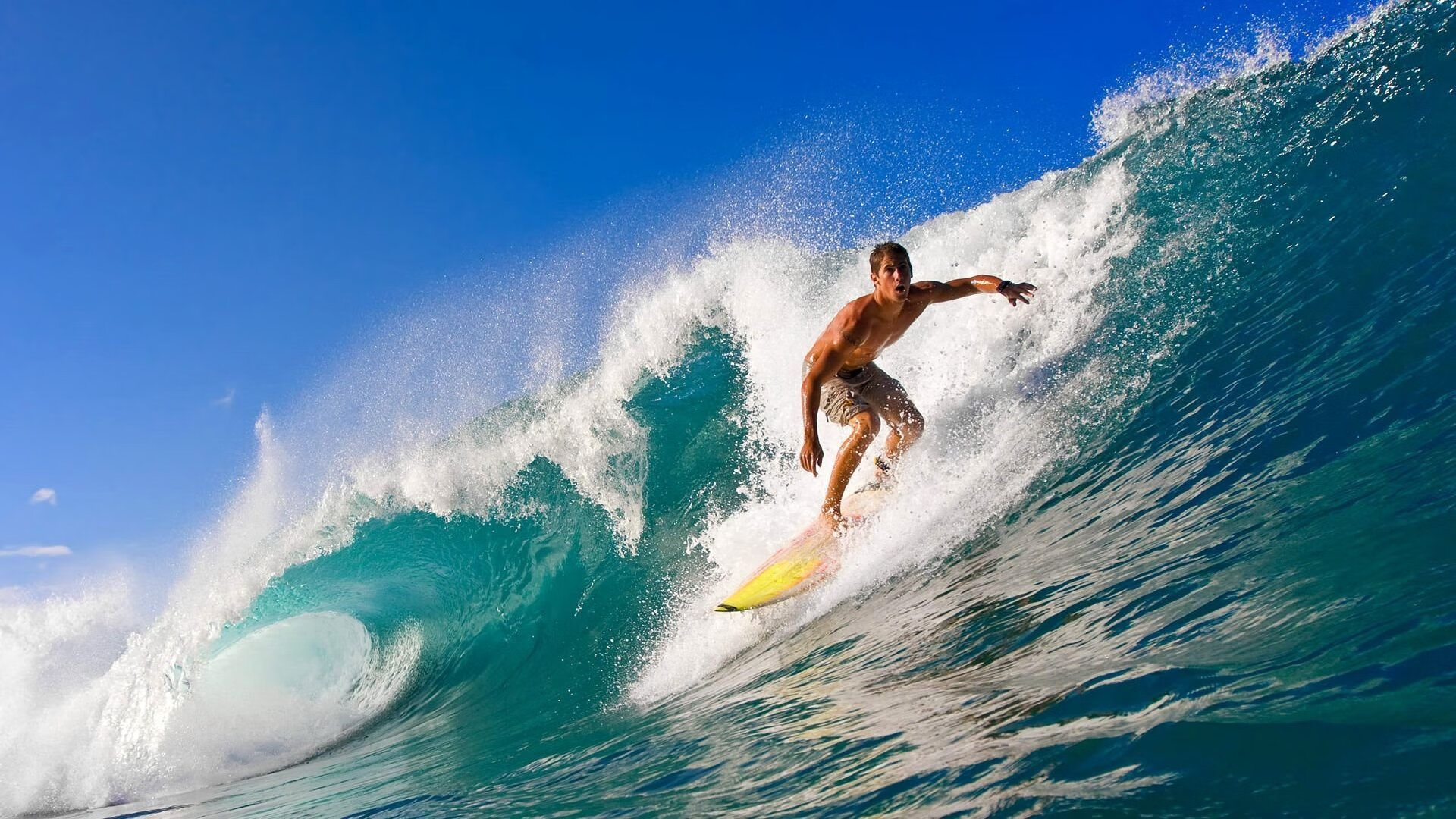 世界杯之夜,阿劳霍的冠军级表现如何点亮美加墨